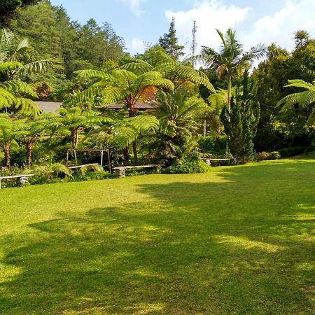Hotel Warung Rekreasi Bedugul Esterno foto