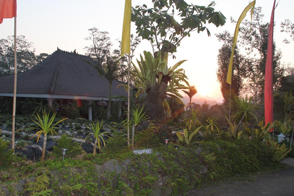 Hotel Warung Rekreasi Bedugul Esterno foto