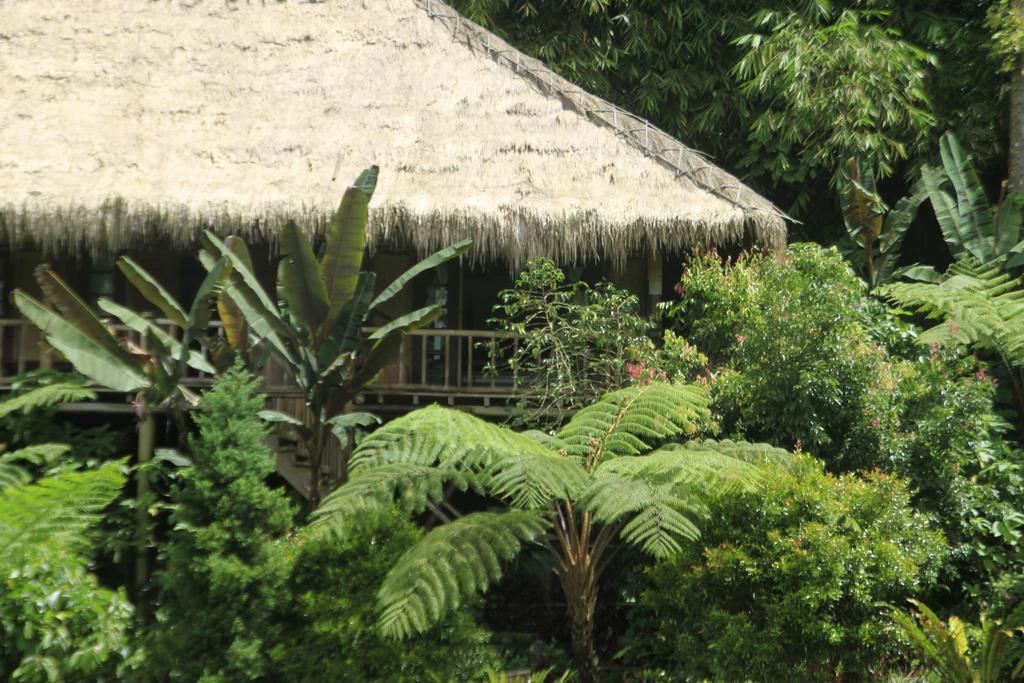 Hotel Warung Rekreasi Bedugul Camera foto