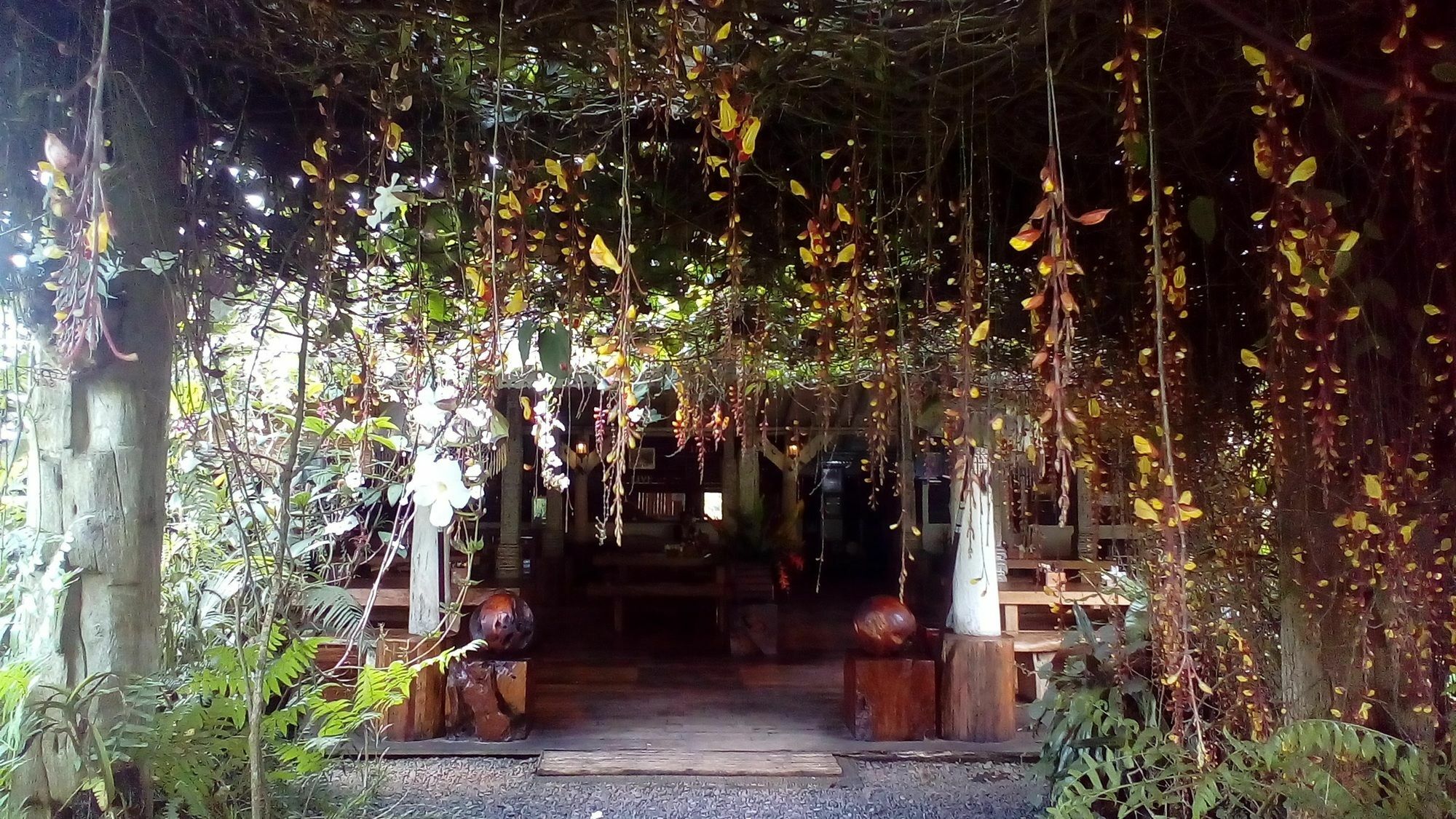 Hotel Warung Rekreasi Bedugul Esterno foto