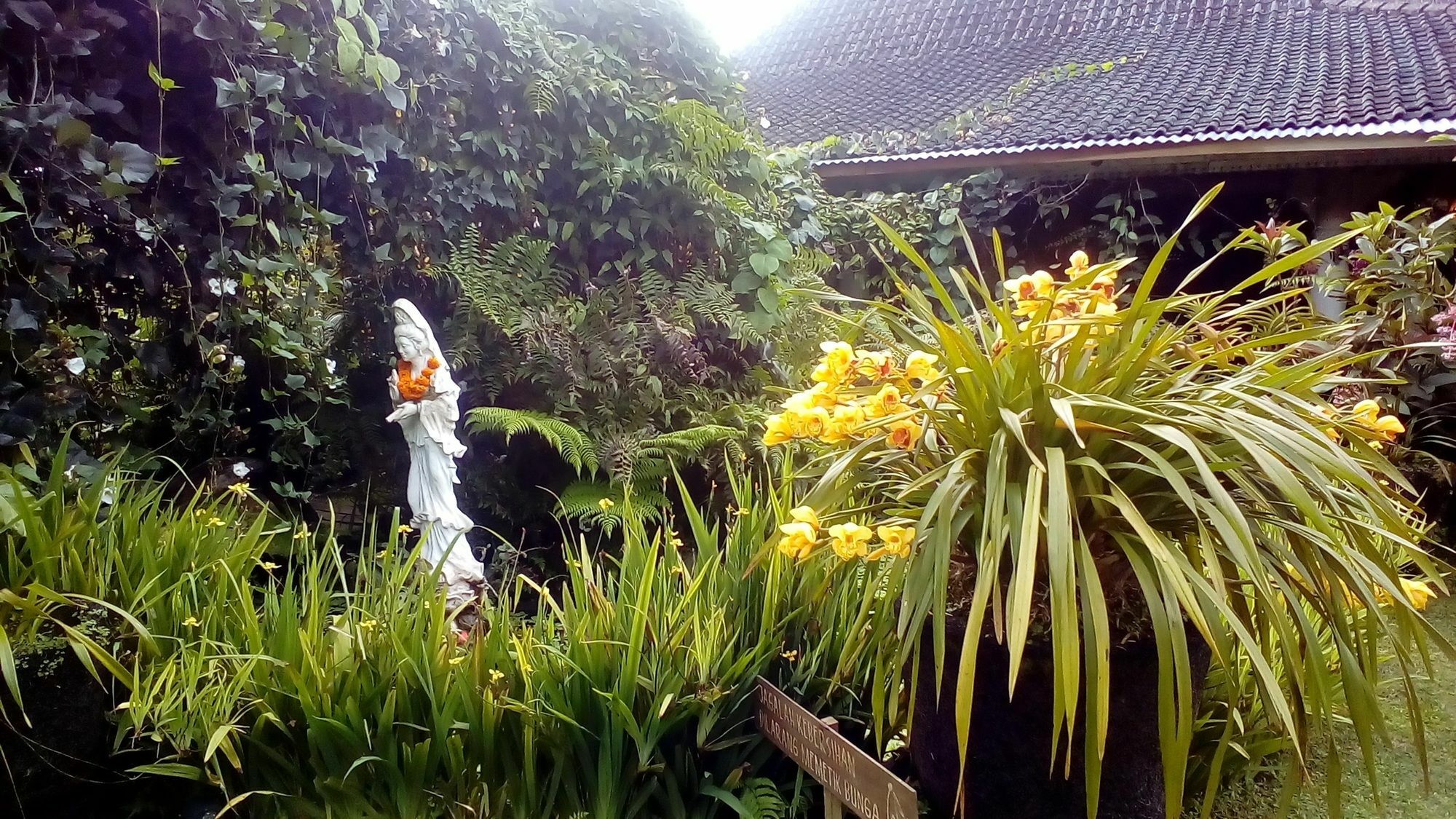 Hotel Warung Rekreasi Bedugul Esterno foto